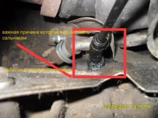 https://i.ibb.co/DDgrcRDG/50006-1.jpg