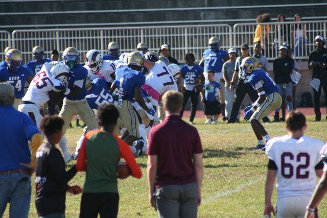 IMG-0815.jpg