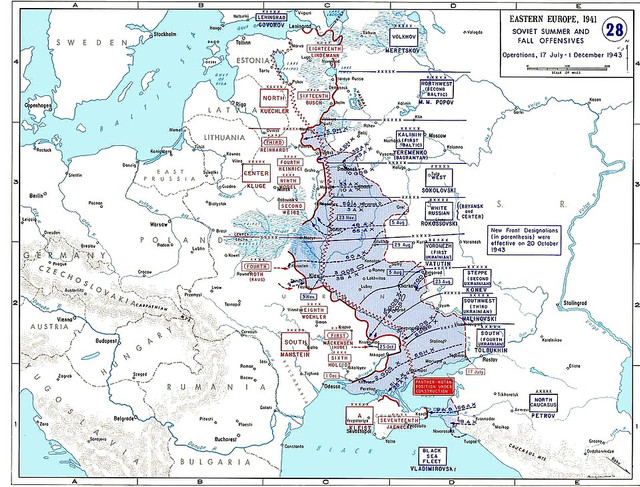 https://i.ibb.co/DDhHsXph/image.jpg