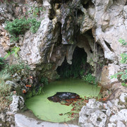 Quinta