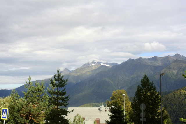 DSC7147.jpg