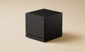 https://i.ibb.co/DDmMFym0/icon.webp
