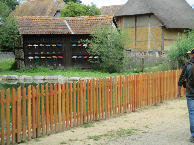 IMG 3642.jpg