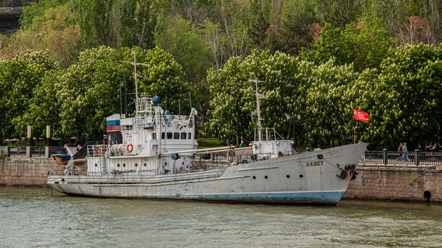 IMG 0458.jpg