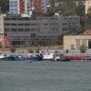 DSC08285