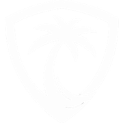 PalmVPN