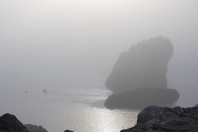 IMG 1110.jpg