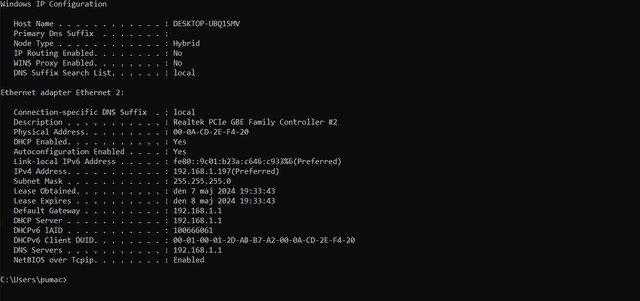 ipconfig