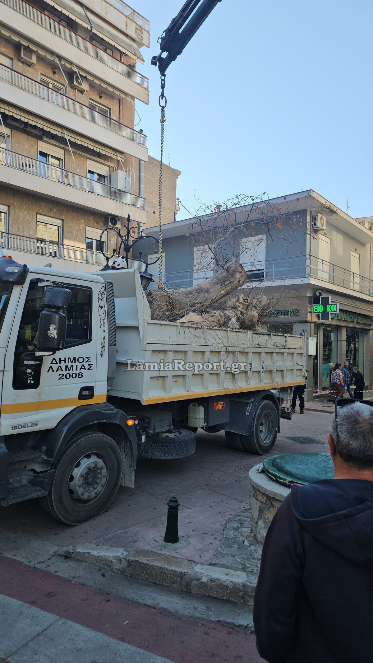 Δεντρο πλατεια Λαου018