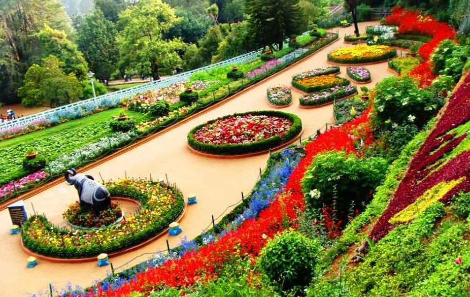 Ooty, Tamil Nadu