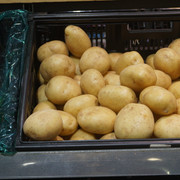 DSC04054