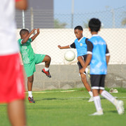IMG 4254