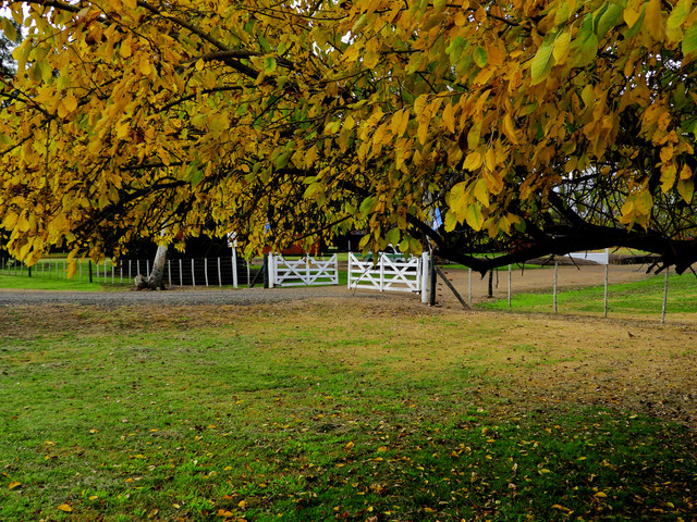 DSCN4992.jpg