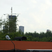 DSC5453