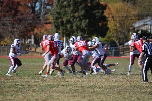 IMG-1731.jpg