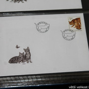 IMG-2628