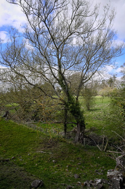 IMGP3927.jpg
