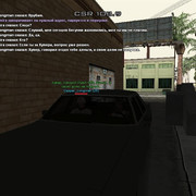 gallery217