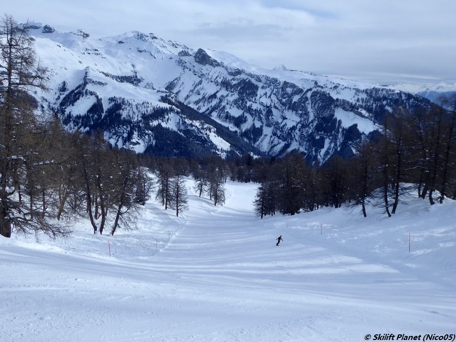 IMG-2909.jpg