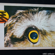 IMG-3557