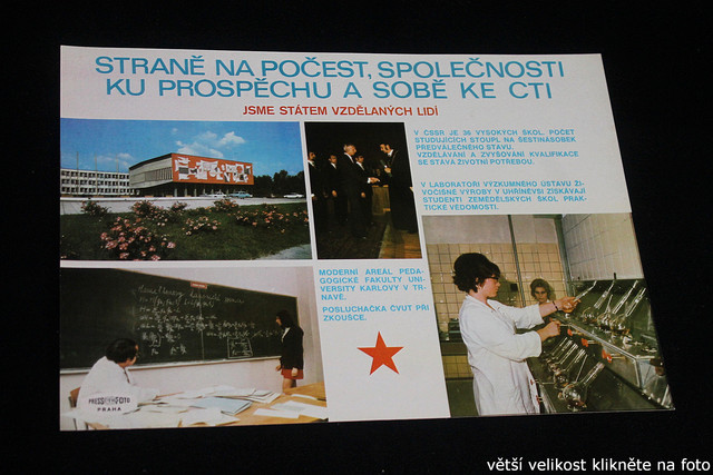 IMG-8607