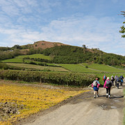 IMGP0082