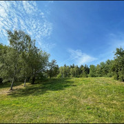 comp IMG 6105