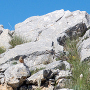 IMG 0702 (2)