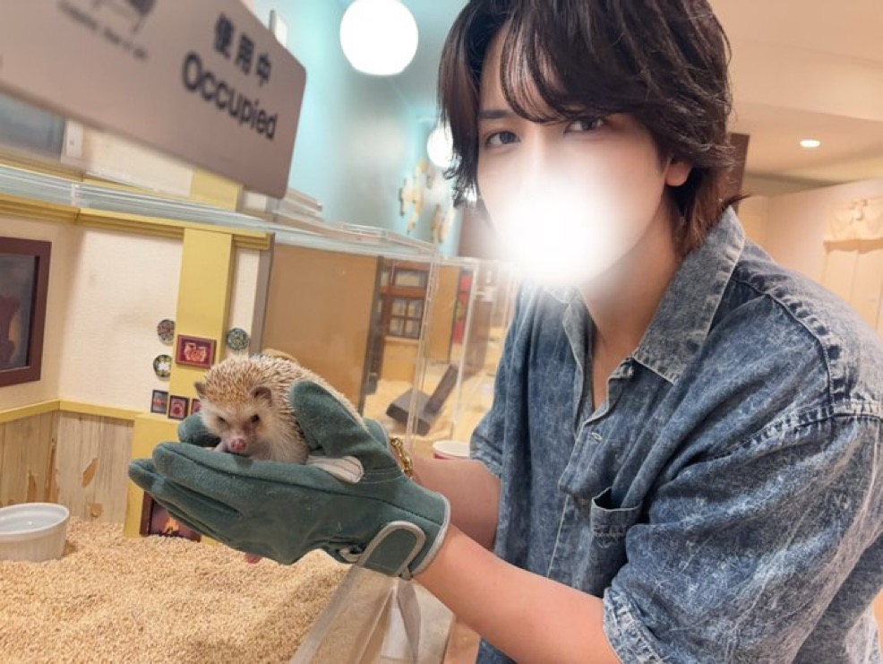 ハリネズミと触れ合うMYUTO