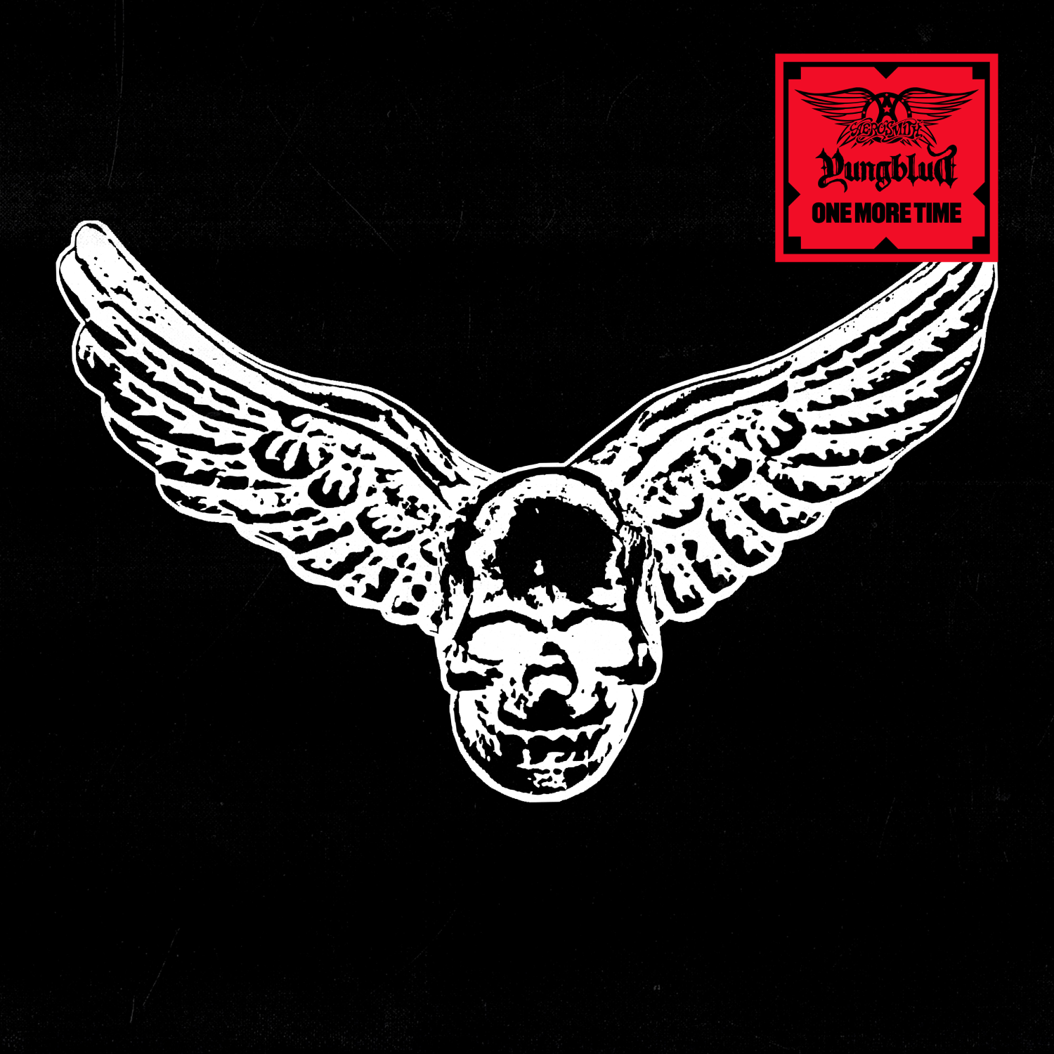 IMG-5102.png