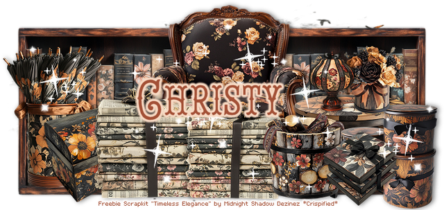 Christy 5069B.png