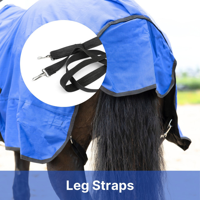Leg Straps