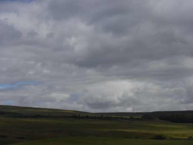DSCF0167