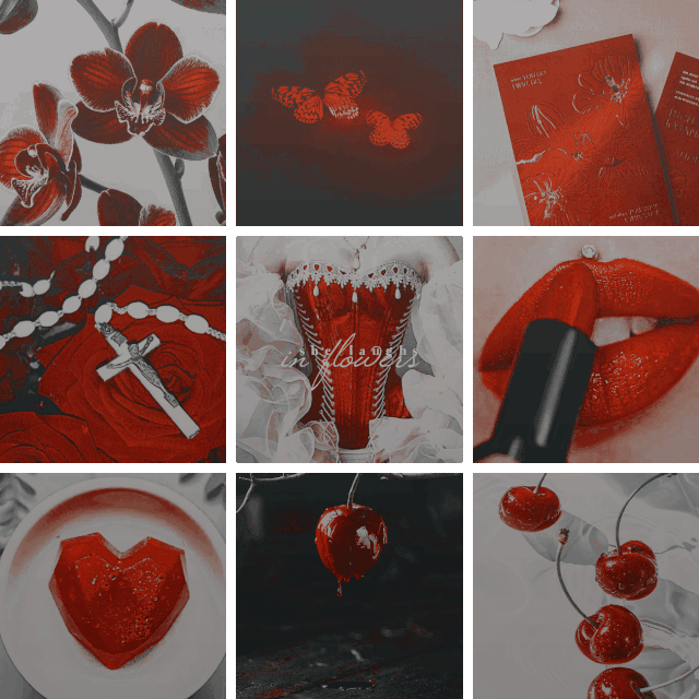 Nowy projekt (1) (2).gif