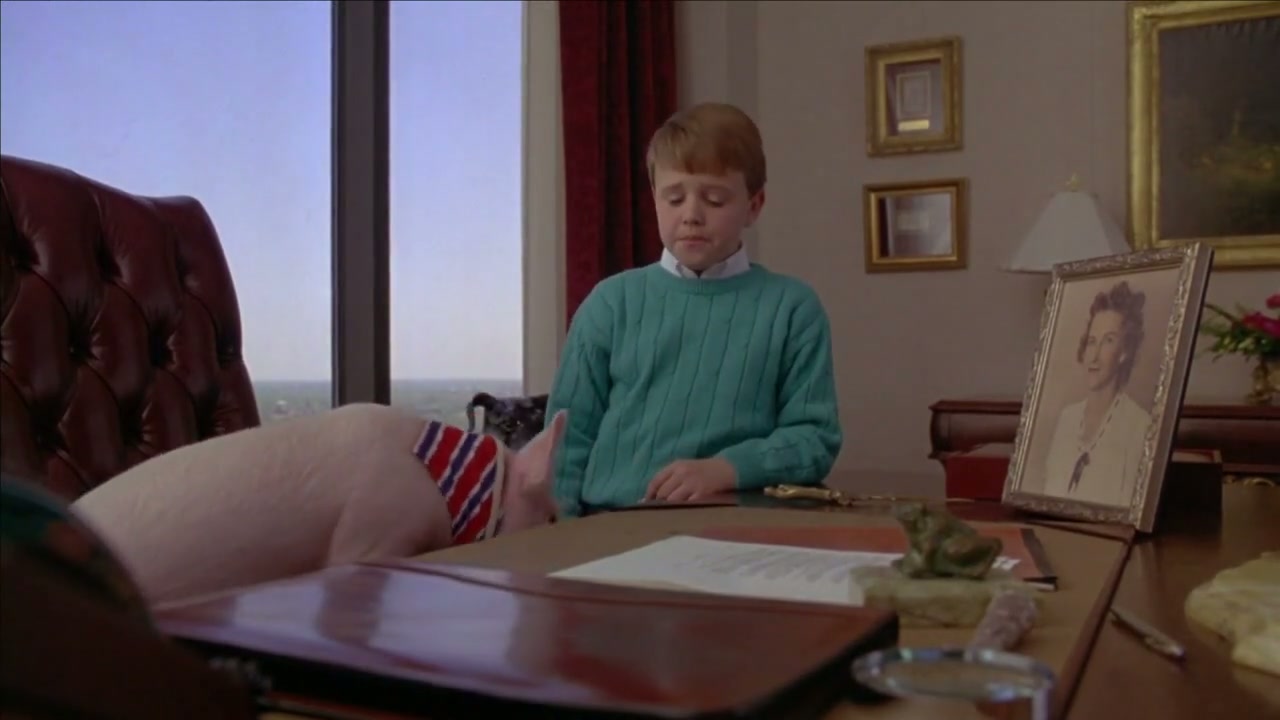 Gordy Screenshot