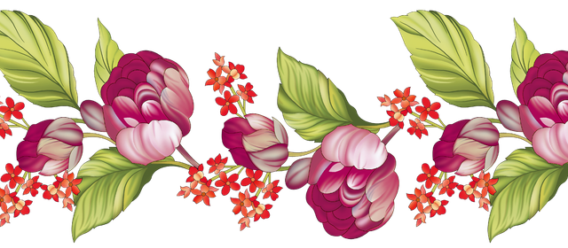nohat bg removed e1a47ba4.png