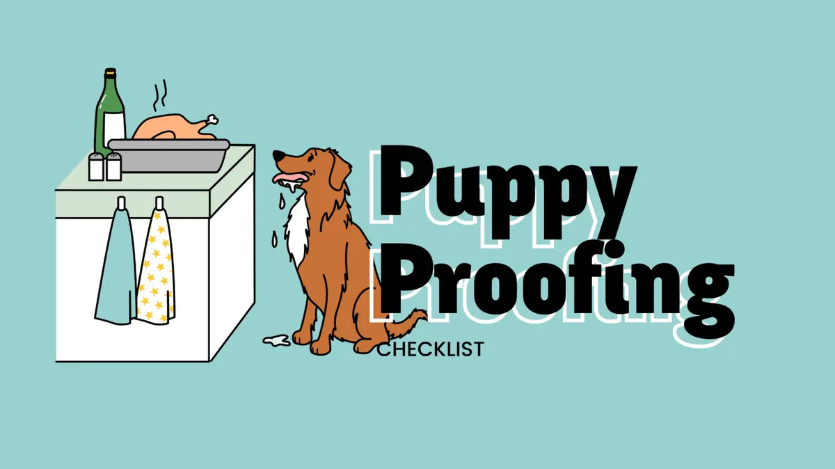 Preparing Your Home for a New Puppy