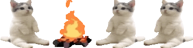 proxy.gif