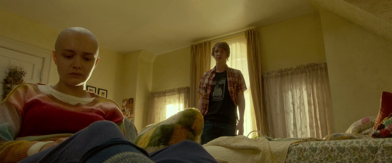 Me and Earl and the Dying Girl Screenshot