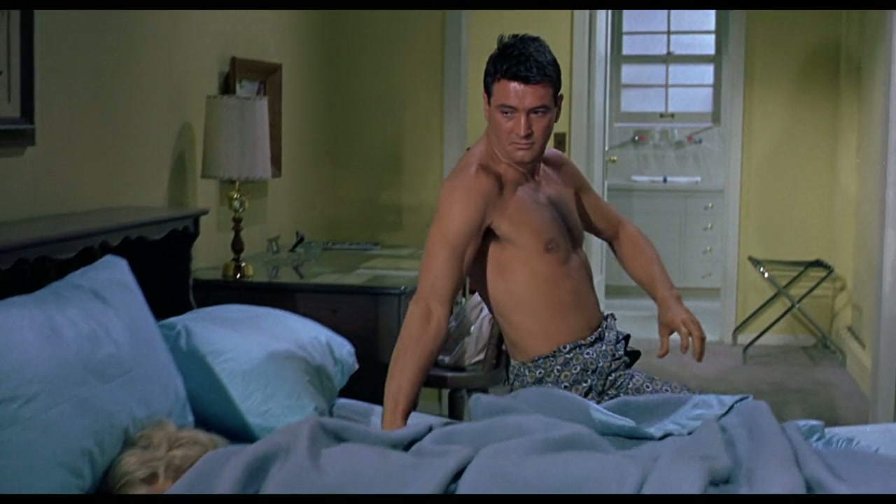 Rock Hudson: All That Heaven Allowed Screenshot