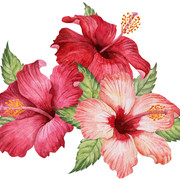 shutterstock 768769126
