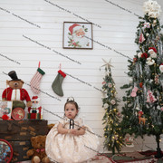 IMG 4313