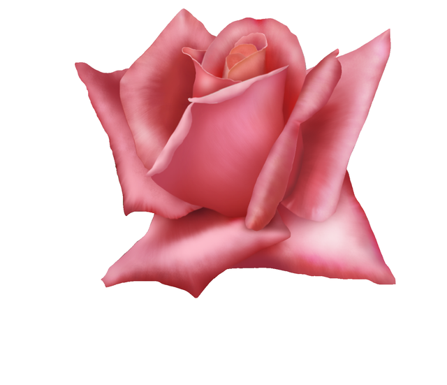 00445.png