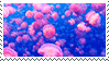 jellies