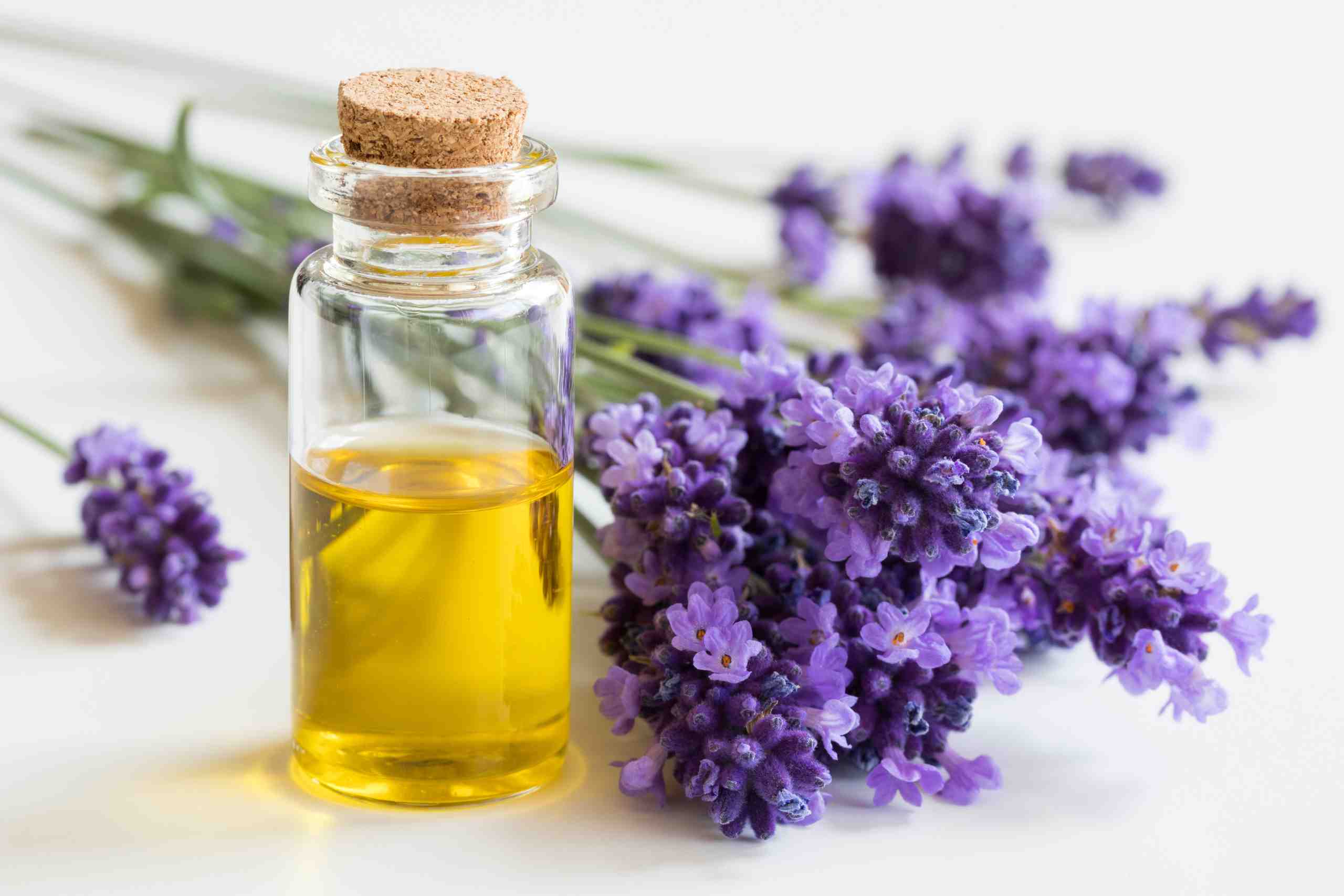 An image showing a bottle of essential oil made from lavender twigs.