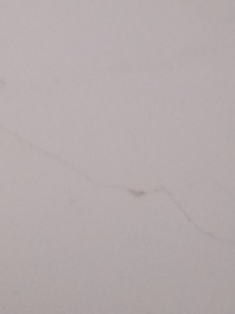 gr4