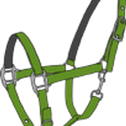 r3