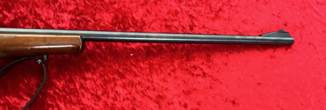 IMG 6945.jpg