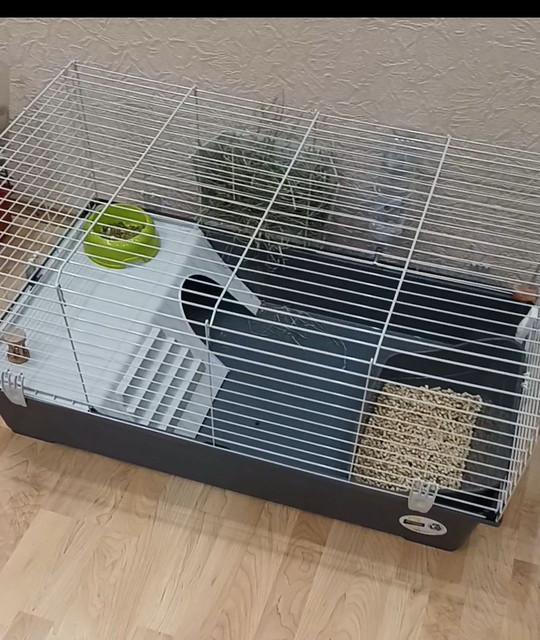 клетка2