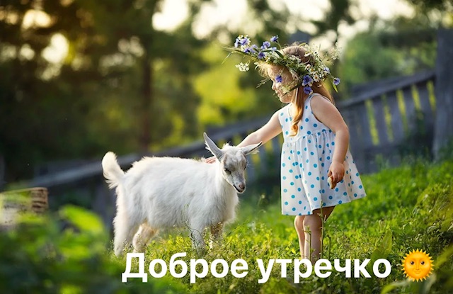 https://i.ibb.co/DHm7DSHN/IMG-0890.jpg